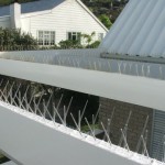 Bird Spikes, Cape Town, Johannesburg, South Africa, netting, pest, pigeon bird