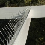 Bird Spikes, Cape Town, Johannesburg, South Africa, netting, pest, pigeon bird