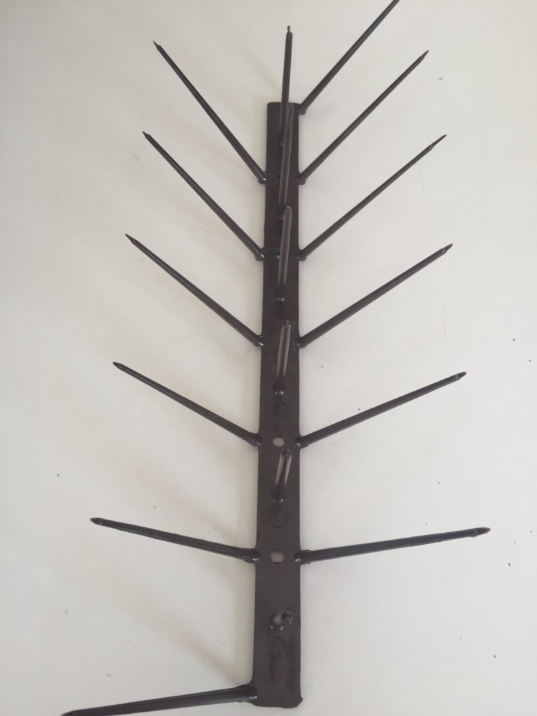 2347 BIRD SPIKES FACTORY PRICE R55 SOUTH AFRICA